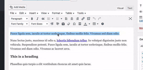 Changing the font family for some text