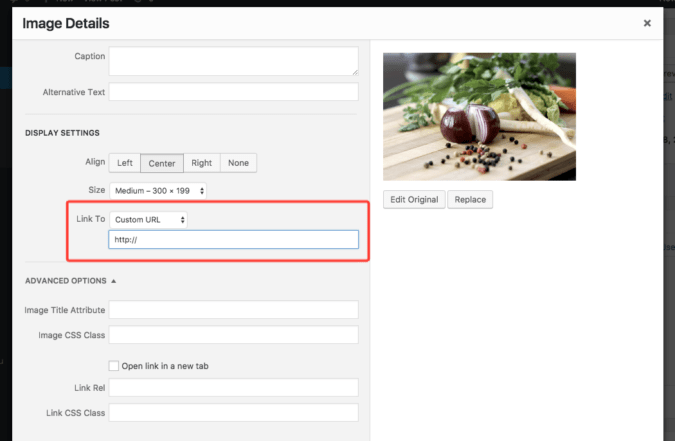 URL input for custom URLs